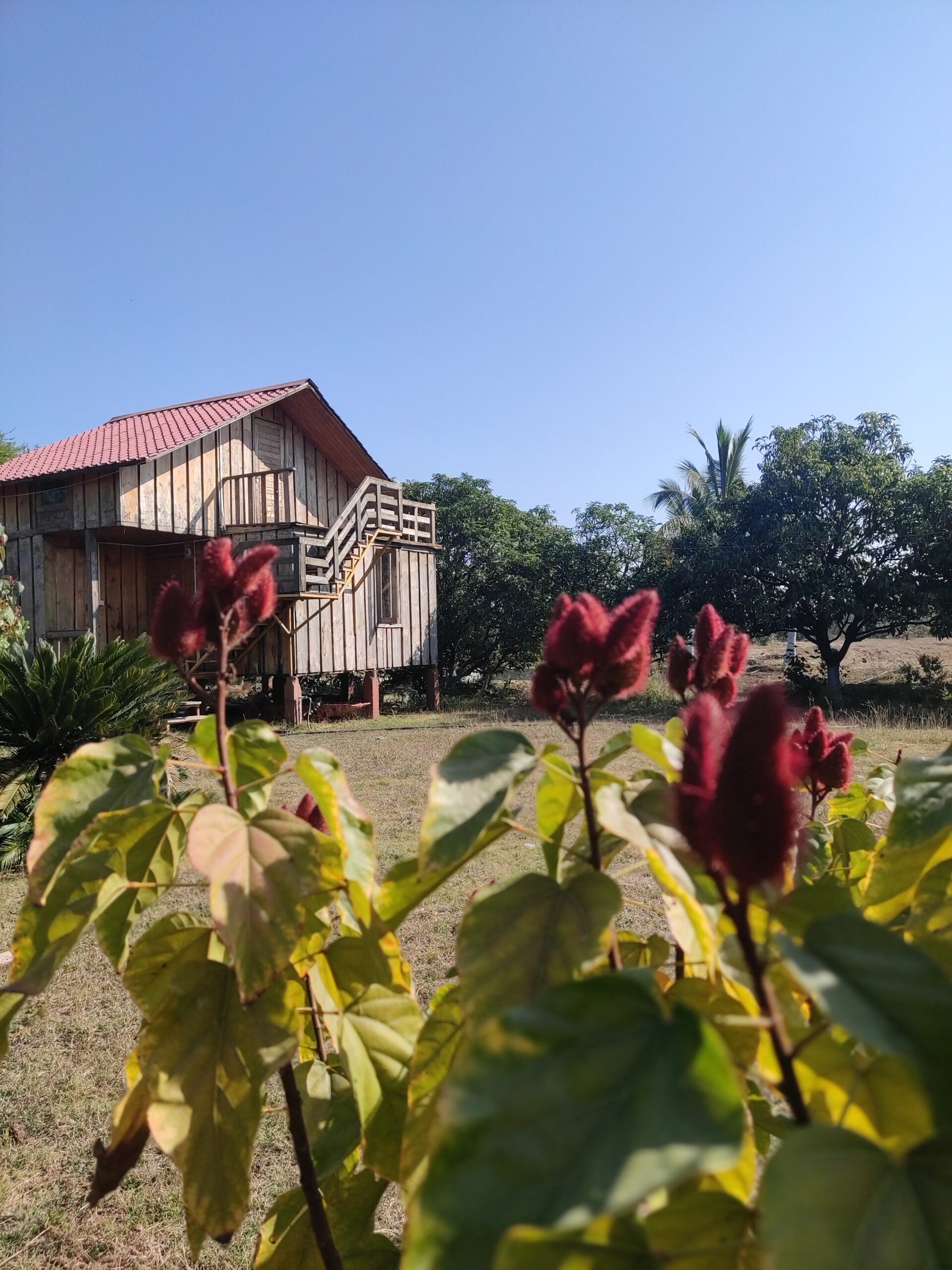 What It Really Takes to Keep a Farm Alive Year-Round