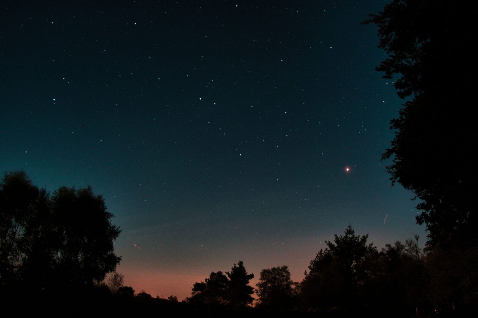 Stargazing and poetry at Avaanti Farms